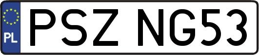 PSZNG53