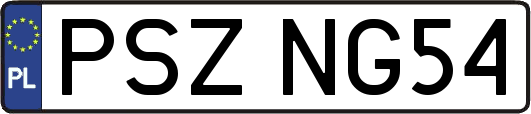 PSZNG54
