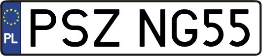 PSZNG55