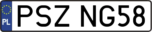 PSZNG58