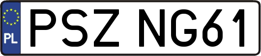 PSZNG61