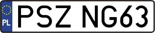 PSZNG63