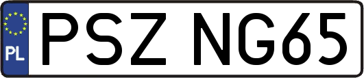 PSZNG65