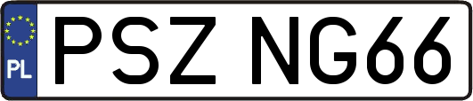 PSZNG66