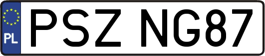 PSZNG87