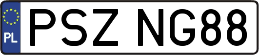 PSZNG88