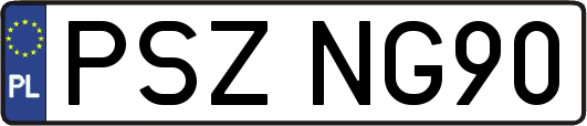 PSZNG90