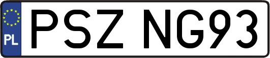PSZNG93
