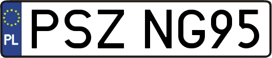 PSZNG95