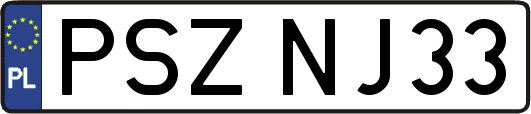 PSZNJ33
