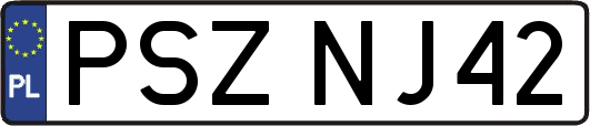 PSZNJ42