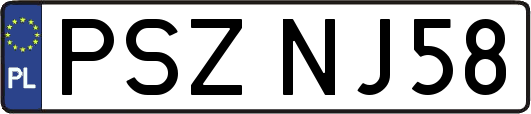 PSZNJ58