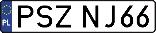 PSZNJ66