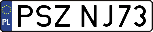 PSZNJ73