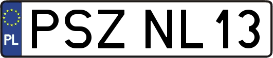 PSZNL13