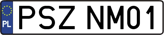 PSZNM01