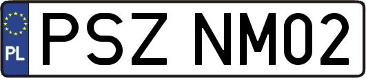 PSZNM02