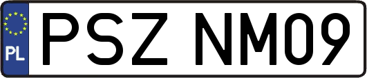PSZNM09