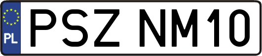PSZNM10