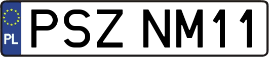 PSZNM11