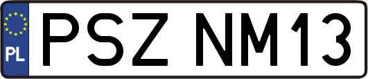 PSZNM13