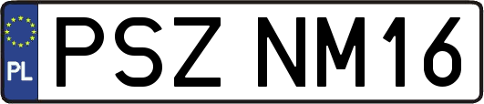 PSZNM16