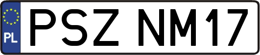 PSZNM17