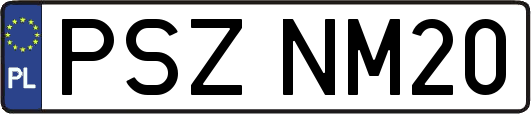 PSZNM20
