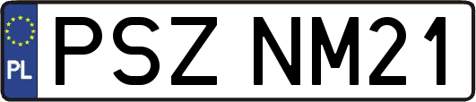 PSZNM21