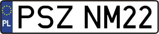 PSZNM22