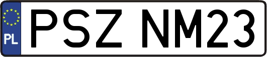 PSZNM23