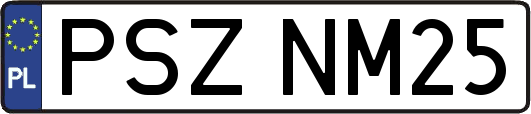 PSZNM25