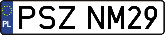 PSZNM29