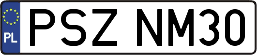 PSZNM30