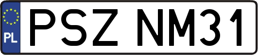 PSZNM31