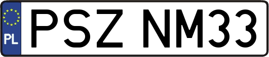 PSZNM33