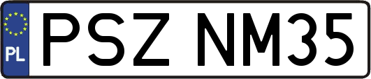 PSZNM35