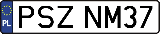 PSZNM37