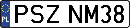 PSZNM38