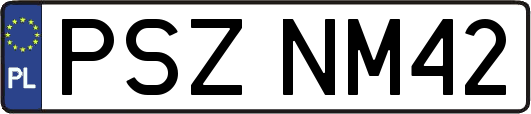 PSZNM42