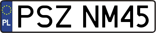PSZNM45