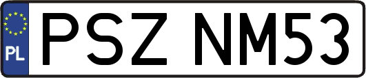 PSZNM53