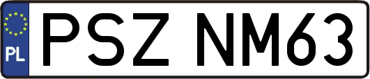 PSZNM63