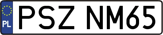 PSZNM65