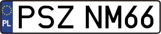 PSZNM66