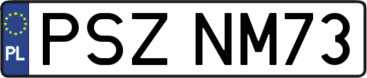 PSZNM73