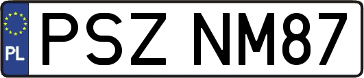 PSZNM87