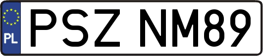 PSZNM89