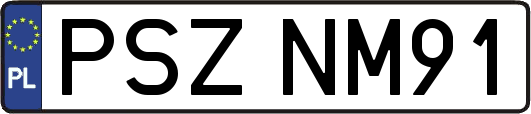 PSZNM91