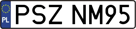 PSZNM95